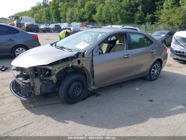 Toyota Corolla 2015 5YFBURHE7FP303874 Image 16