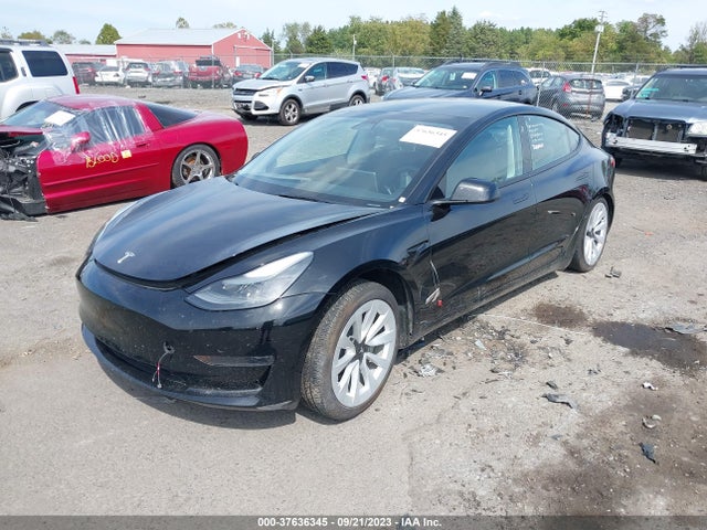 2023 TESLA MODEL 3 5YJ3E1EAXPF434993 Photo 1