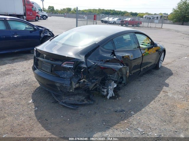 2023 TESLA MODEL 3 5YJ3E1EAXPF434993 Photo 3