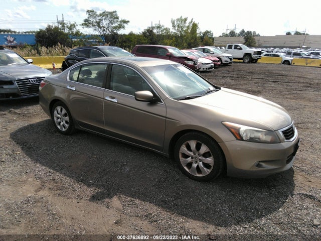 2010 HONDA ACCORD SDN EX-L VIN: 5KBCP3F89AB003667