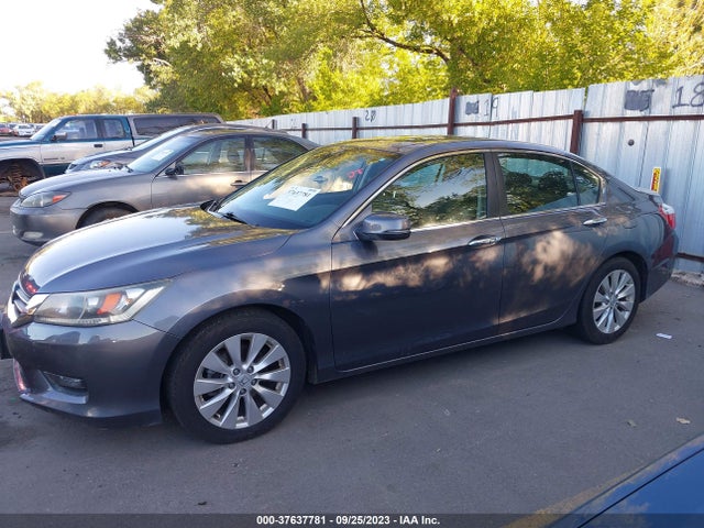 Honda ACCORD EX 2015 1HGCR2F7XFA273048 Image 14