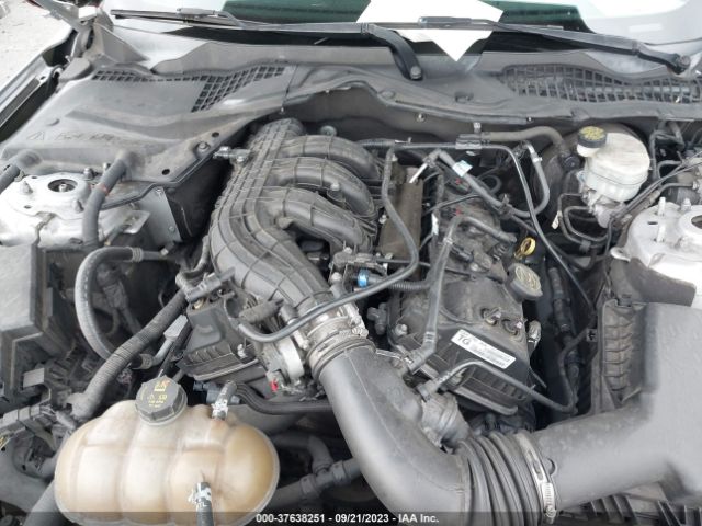 1FA6P8AM3G5261163 Ford Mustang V6