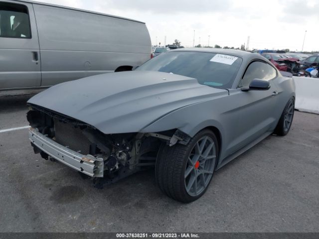 1FA6P8AM3G5261163 Ford Mustang V6