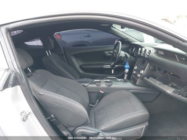 1FA6P8AM3G5261163 Ford Mustang V6