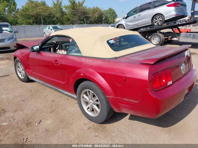 2005 FORD MUSTANG DELUXE/PREMIUM VIN: 1ZVHT84N355226281