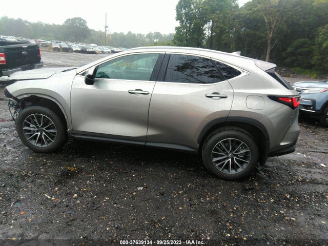2022 Lexus NX, VIN: 2T2AGCEZ4NC007275