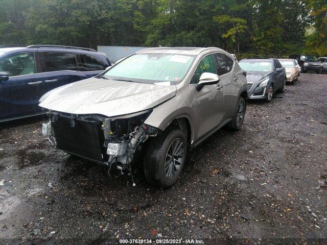 2022 Lexus NX, VIN: 2T2AGCEZ4NC007275