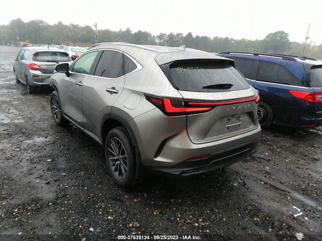 2022 Lexus NX, VIN: 2T2AGCEZ4NC007275