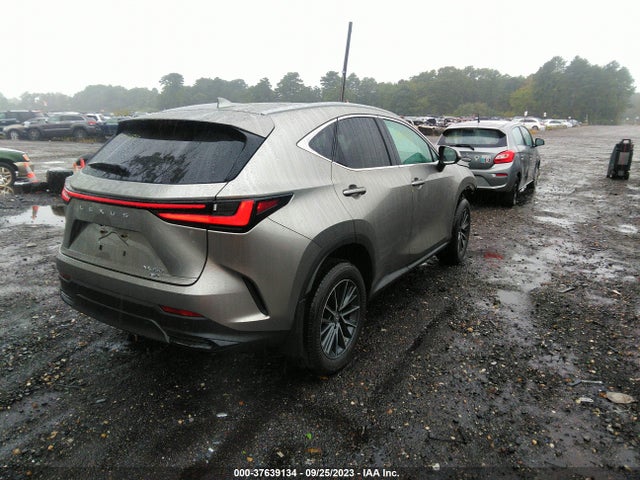 2022 Lexus NX, VIN: 2T2AGCEZ4NC007275