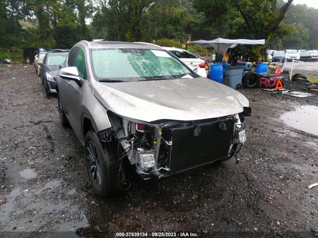 2022 Lexus NX, VIN: 2T2AGCEZ4NC007275