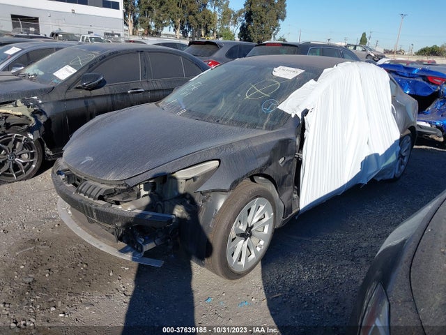 Tesla Model 3 Standard Range Plus 2021 5YJ3E1EA9MF017974 Image 2