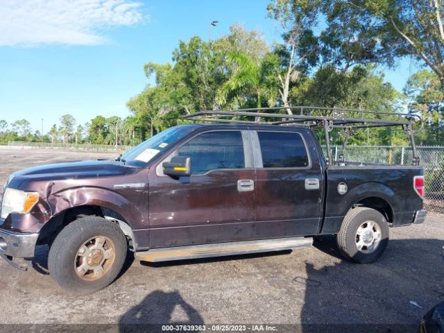 1FTEW1CM8EFA71590 Ford F-150 Xl/stx/xlt