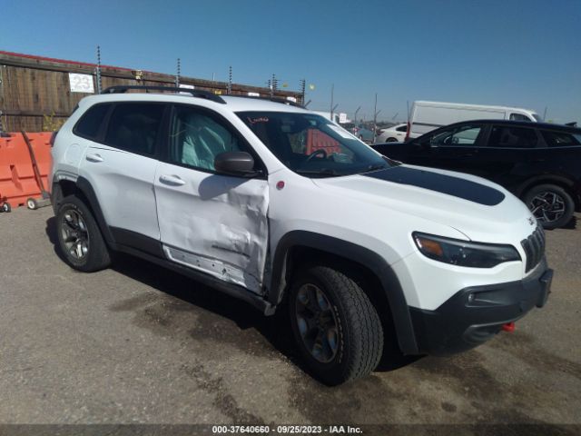 Jeep Cherokee Trailhawk 2019 1C4PJMBX4KD390920 Image 1