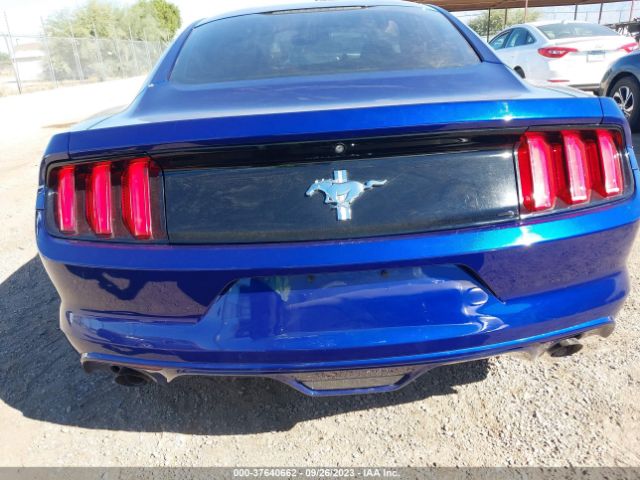 1FA6P8AM3G5226204 Ford Mustang V6