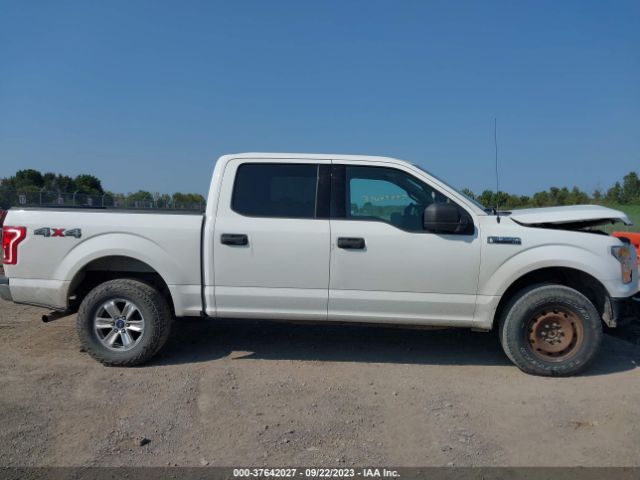1FTEW1EF2FFB07614 Ford F-150 Xlt/xl/lariat/platinum