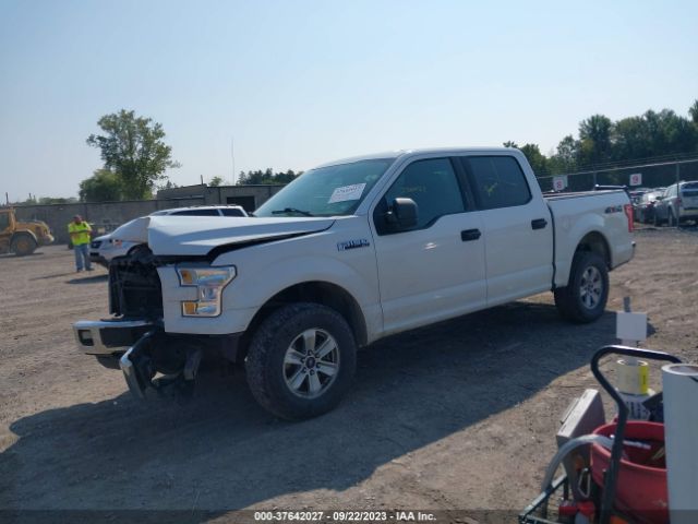 1FTEW1EF2FFB07614 Ford F-150 Xlt/xl/lariat/platinum
