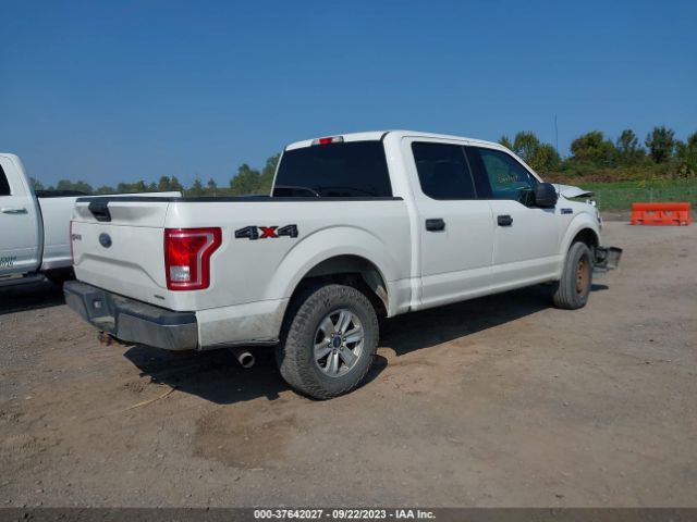 1FTEW1EF2FFB07614 Ford F-150 Xlt/xl/lariat/platinum