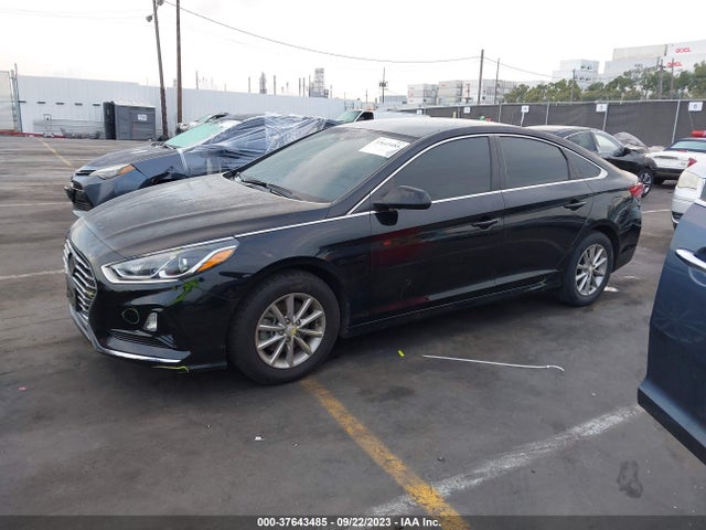 Hyundai SONATA SE 2019 5NPE24AF0KH736761 Image 2