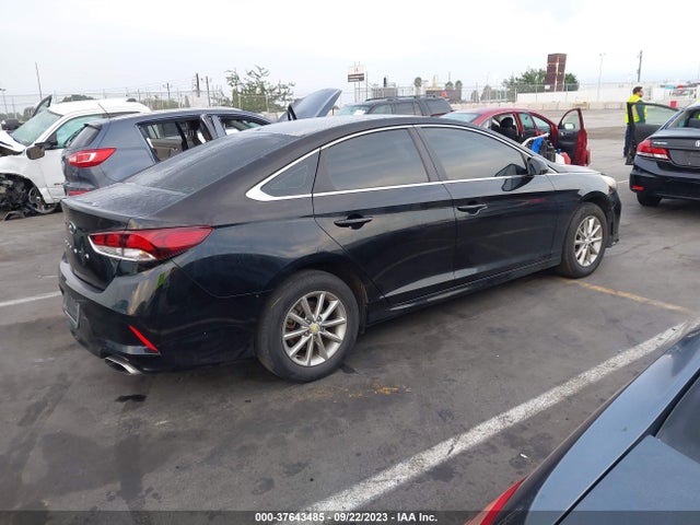 Hyundai SONATA SE 2019 5NPE24AF0KH736761 Image 4