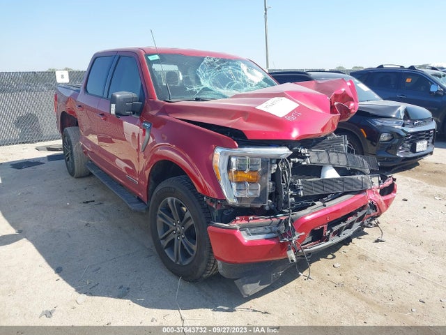 2021 FORD F-150 XLT VIN: 1FTFW1ED1MFC87894