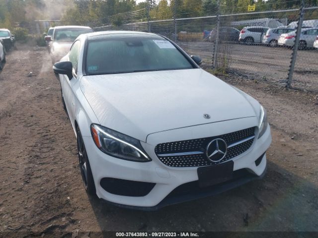 WDDWJ6EB9HF459112 Mercedes-Benz C-class Amg C 43