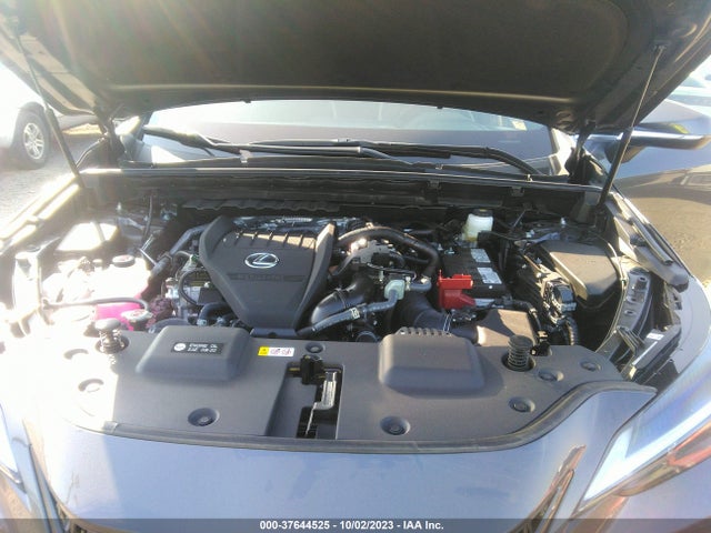 2024 Lexus NX, VIN: 2T2GGCEZ3RC037349