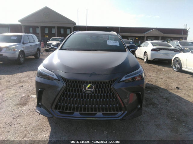 2024 Lexus NX, VIN: 2T2GGCEZ3RC037349