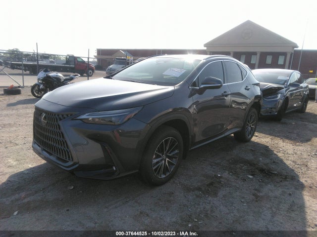 2024 Lexus NX, VIN: 2T2GGCEZ3RC037349