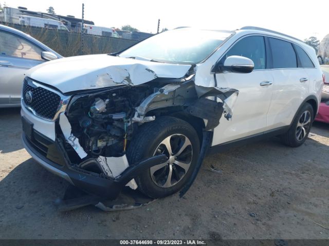 5XYPH4A59GG095798 KIA SORENTO EX