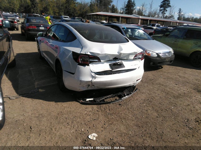 Tesla Model 3 Long Range 2023 5YJ3E1EB4PF635152 Image 3
