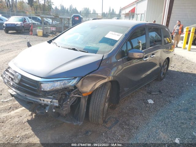 5FNRL6H5XNB003000 Honda ODYSSEY EX