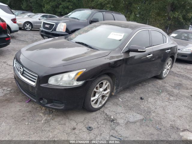 1N4AA5AP2EC467300 Nissan Maxima 3.5 Sv W/premium Pkg