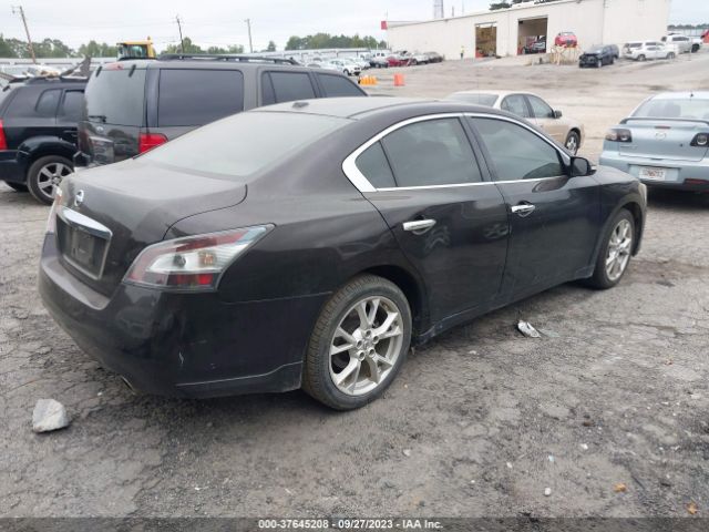1N4AA5AP2EC467300 Nissan Maxima 3.5 Sv W/premium Pkg