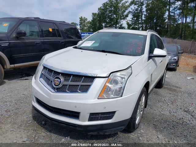 2011 CADILLAC SRX LUXURY COLLECTION VIN: 3GYFNAEY2BS631094