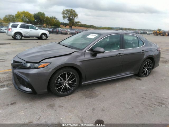 4T1G11AK6PU733492 Toyota Camry Se/se Nightshade