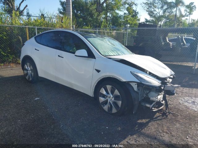 2021 TESLA MODEL Y 5YJYGDEE6MF195832