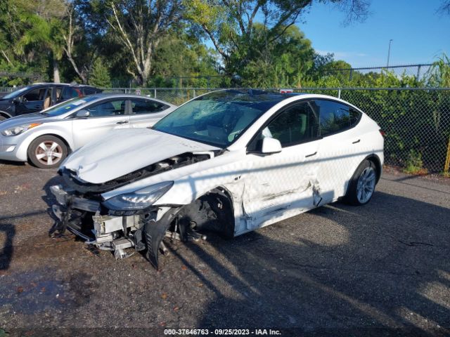 2021 TESLA MODEL Y 5YJYGDEE6MF195832 Photo 1