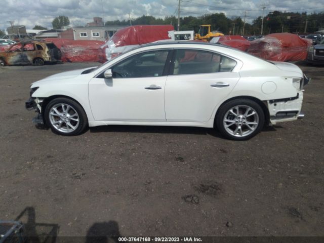 1N4AA5AP0EC906297 Nissan Maxima 3.5 Sv W/premium Pkg