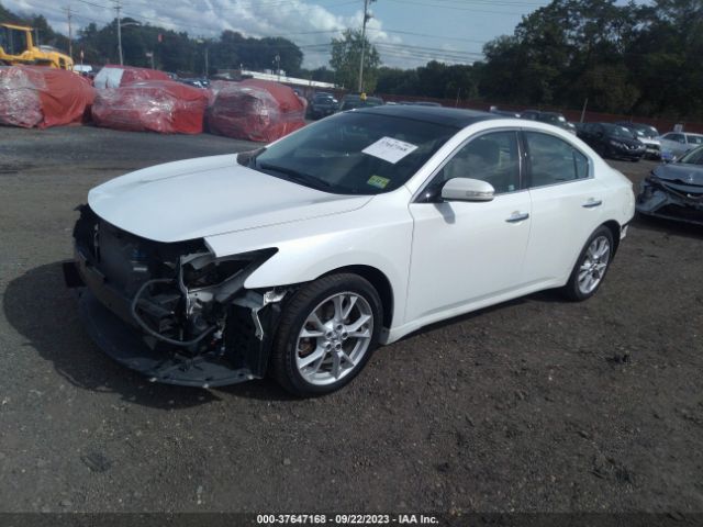 1N4AA5AP0EC906297 Nissan Maxima 3.5 Sv W/premium Pkg