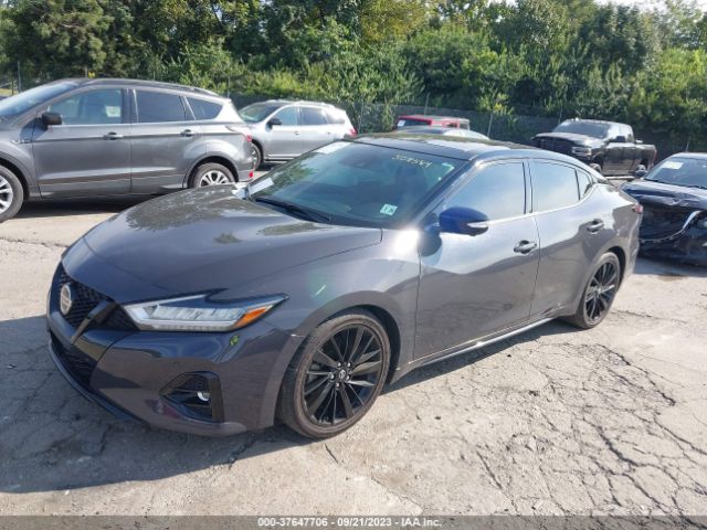 1N4AA6FV2MC508584 Nissan Maxima Platinum