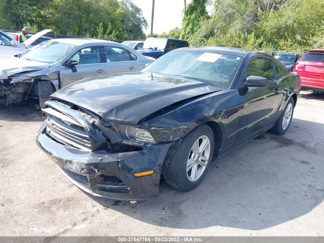 Aukcja sprzedaży 2014 Ford Mustang V6, vin: 1ZVBP8AM6E5204653, numer aukcji: 37647764