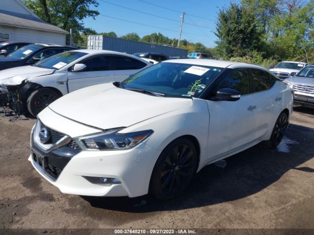 1N4AA6APXHC455969 Nissan Maxima Sr