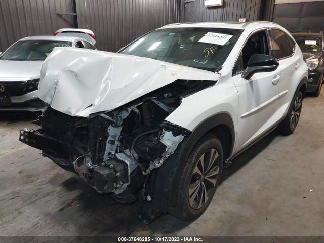 JTJBARBZ4K2198737 Lexus Nx Nx 300