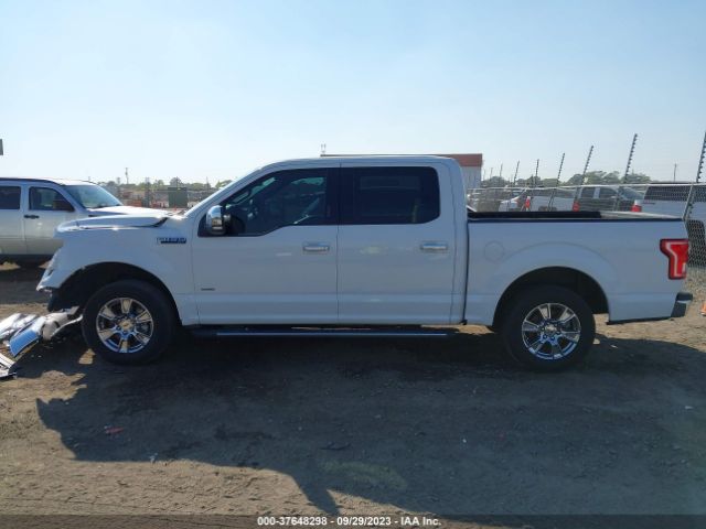 1FTEW1CP1HFA63572 Ford F-150 Xlt