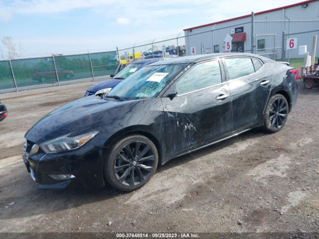 1N4AA6AP8HC369799 Nissan Maxima Sr