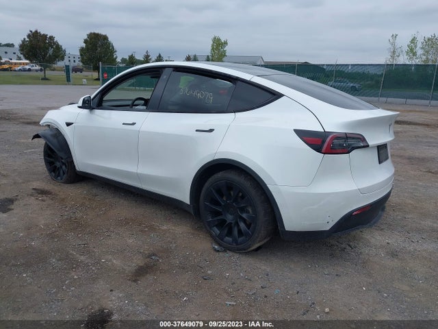 Tesla Model Y Long Range 2020 5YJYGDEE1LF012724 Image 3