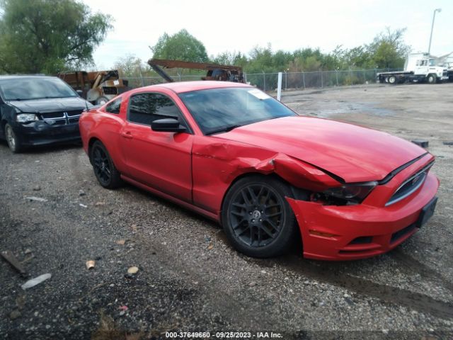 1ZVBP8AM8E5306049 Ford Mustang V6