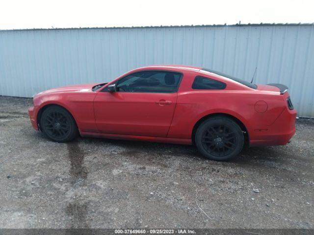 1ZVBP8AM8E5306049 Ford Mustang V6
