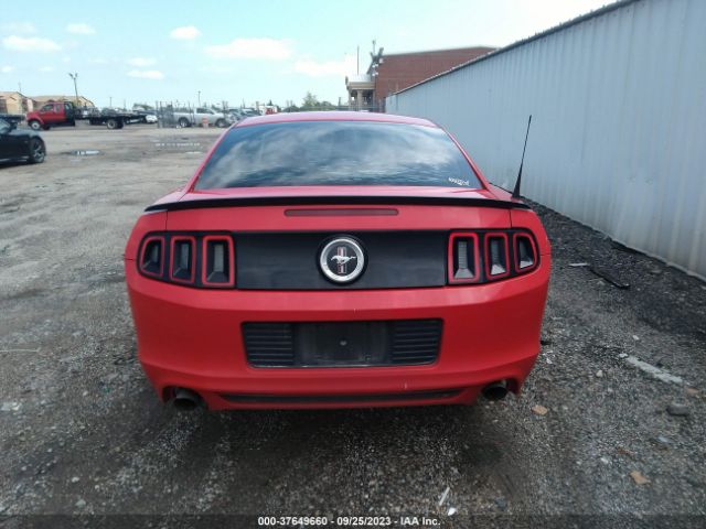 1ZVBP8AM8E5306049 Ford Mustang V6
