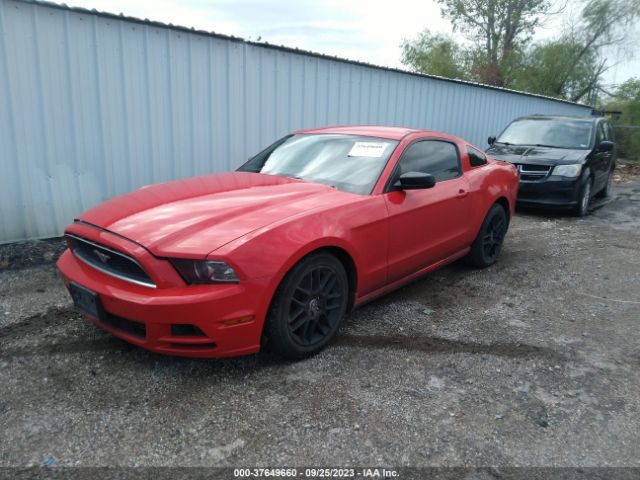1ZVBP8AM8E5306049 Ford Mustang V6